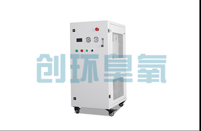 潼南工厂化养鲈必看:2026年臭氧发生器替代传统消毒的最新方案