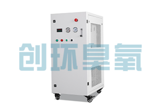 潼南石斑鱼养殖水质调控完整指南:臭氧发生器配置与操作步骤
