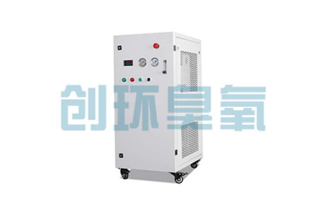 潼南比传统换水更高效?臭氧发生器在石斑鱼养殖中的水质净化原理解析